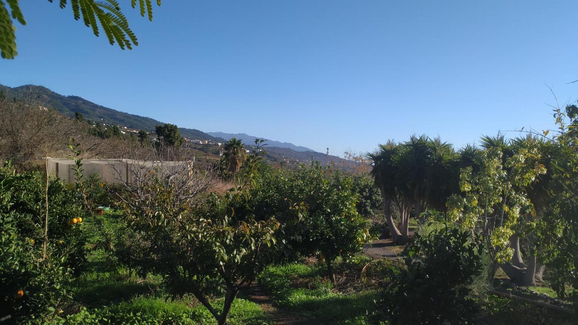 Finca Panorama Tijarafe Dış mekan fotoğraf