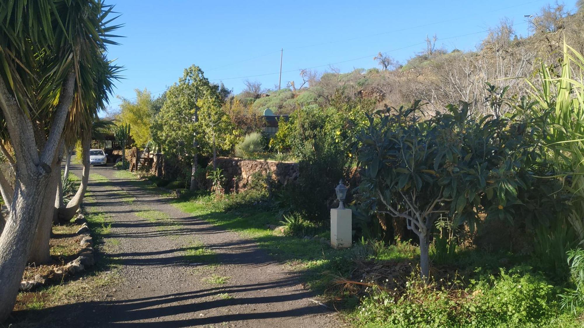 Finca Panorama Tijarafe Dış mekan fotoğraf