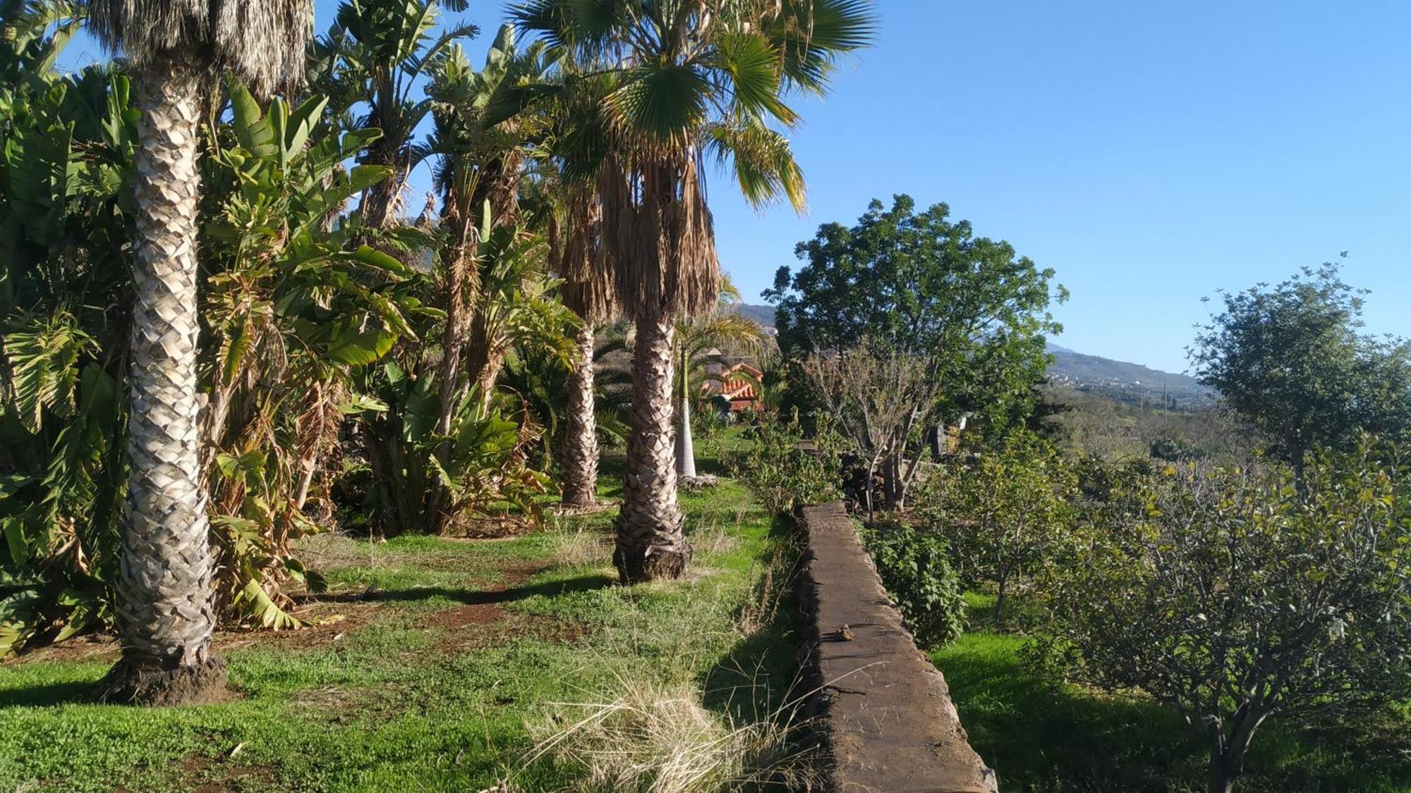 Finca Panorama Tijarafe Dış mekan fotoğraf